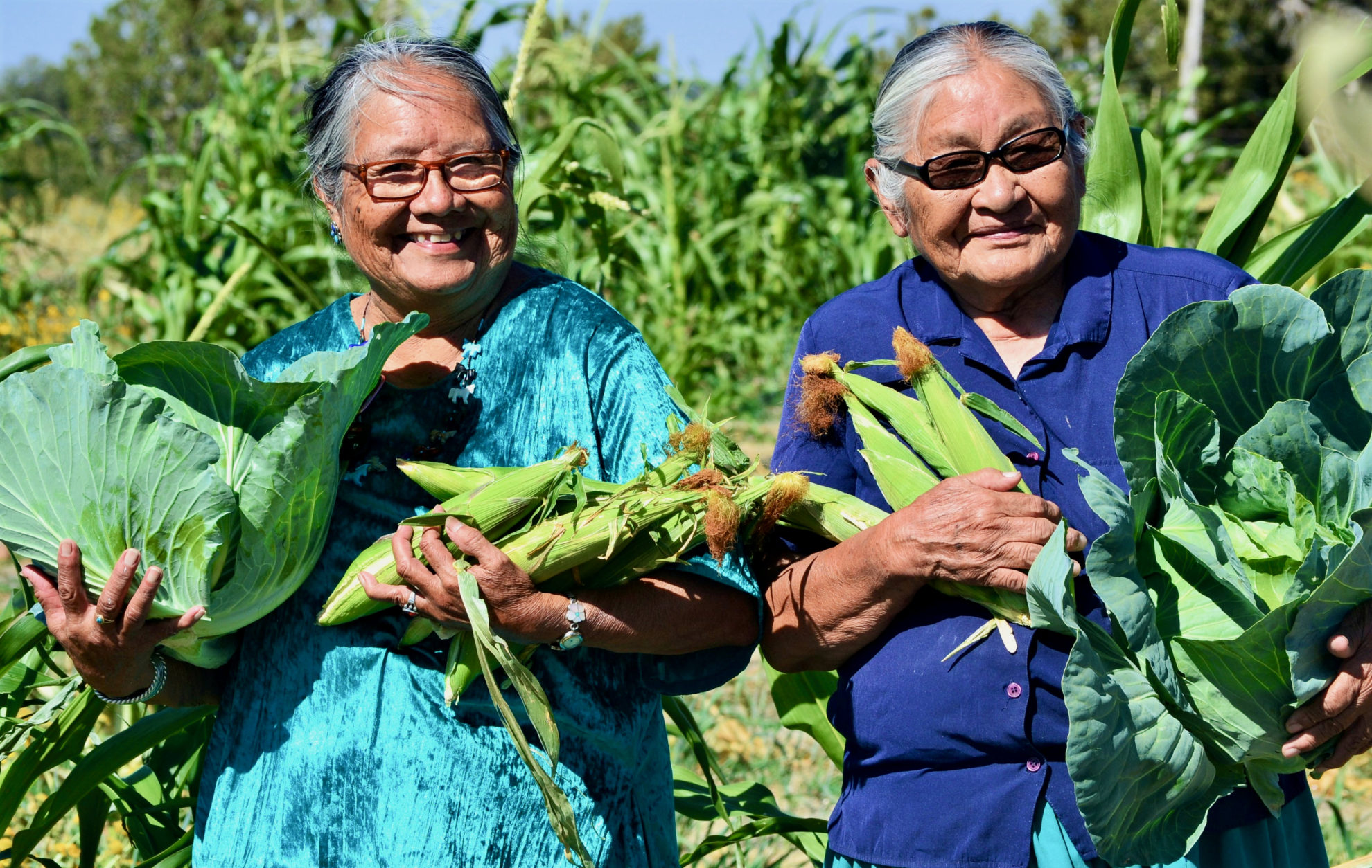 First Nations Development Institute – Ronald W. Naito MD Foundation 